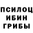 Псилоцибиновые грибы Psilocybe Stas Sibirskii