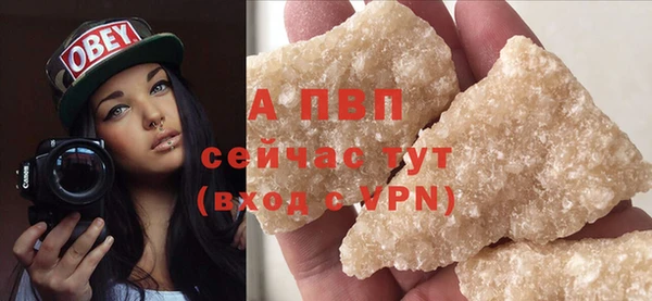 стаф Балахна