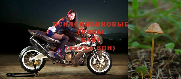 СК Богданович