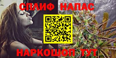 сатива Анапа