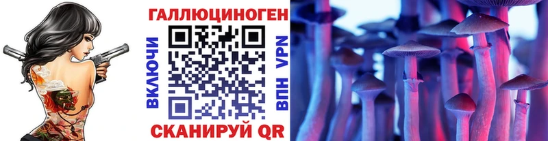 Псилоцибиновые грибы MAGIC MUSHROOMS Верхняя Пышма